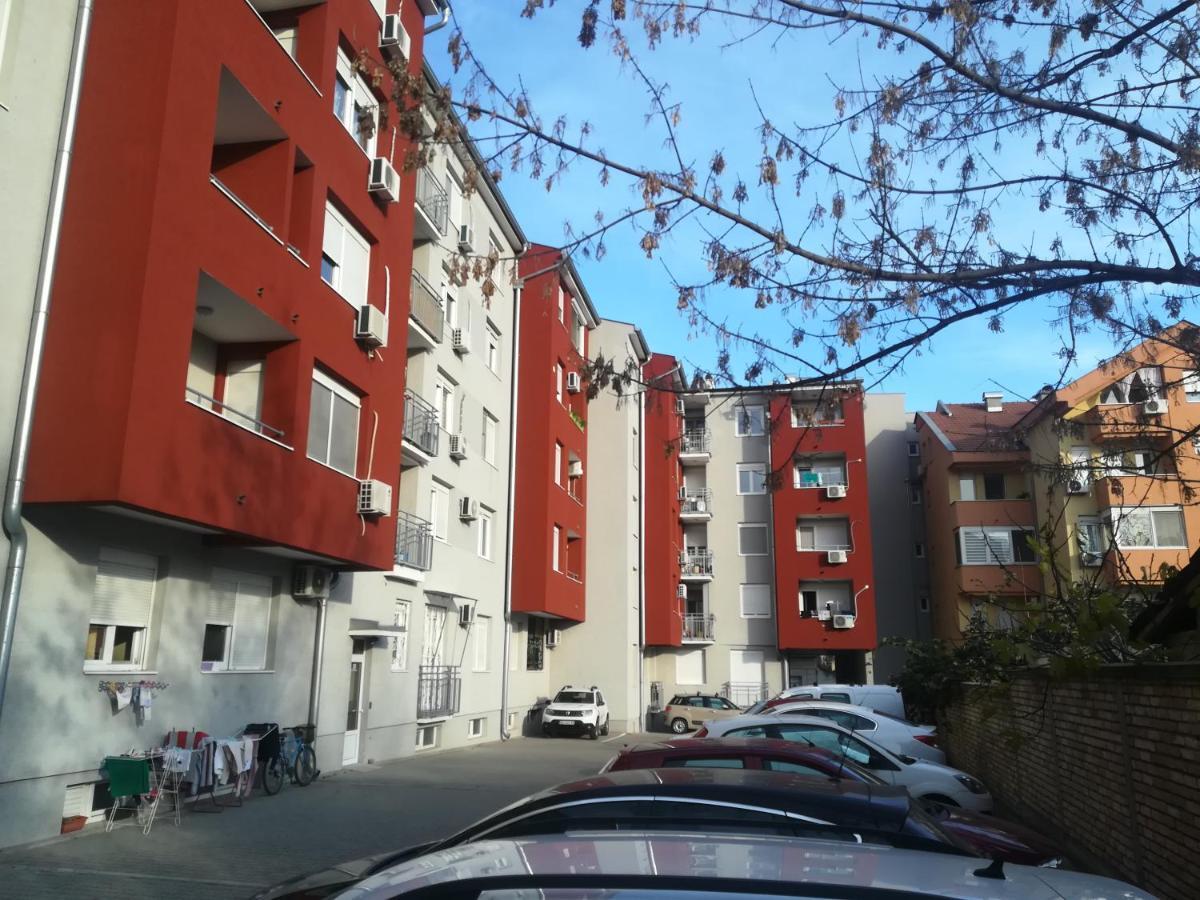 Paris Apartment -Free Private Parking Novi Sad Eksteriør billede